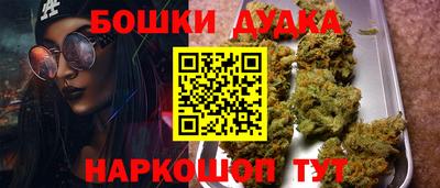 стаф Бийск